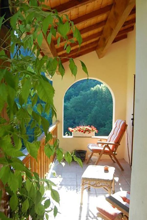 Villa Domaine Liberte Avec Prairie Et Foret Au Bord D'Une Riviere En Ardeche Silhac Exterior photo